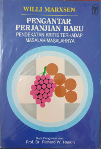 Image of Pengantar Perjanjian Baru: Pendekatan Kritis terhadap Masalah-masalahnya